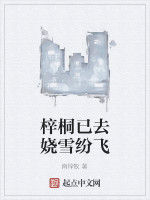 梓桐已去嬈雪紛飛