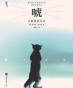 唬:小黑貓成長記 唬:小黑貓成長記