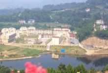 柳林鎮[四川省巴中市柳林鎮]