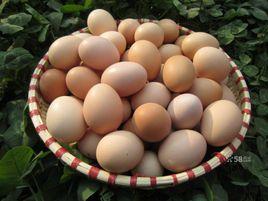 散養柴雞蛋 散養柴雞蛋