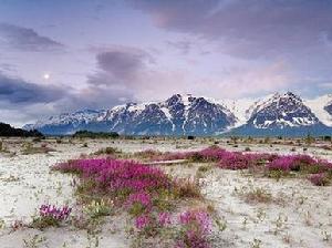 阿拉斯加州環境