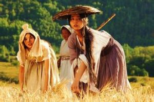 長平大戰之麥田 長平大戰之麥田