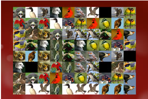 動物形象 動物形象