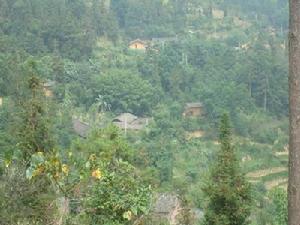 苦竹沖自然村 苦竹沖自然村