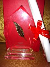 著迷網榮獲2013金翎獎