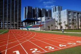 學校體育工作條例 學校體育工作條例