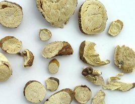 建平苦參 建平苦參