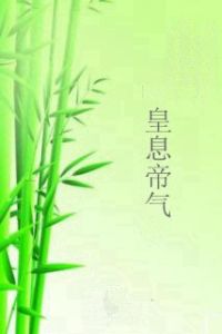 皇息帝氣 皇息帝氣