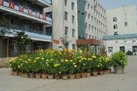 邯鄲理工學校 邯鄲理工學校