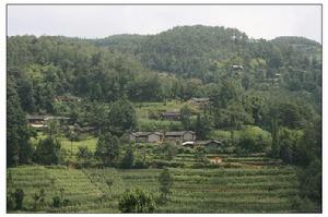 啞口村[雲南省德宏州梁河縣勐養鎮啞口村]