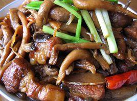 紅燒肉燴平菇 紅燒肉燴平菇