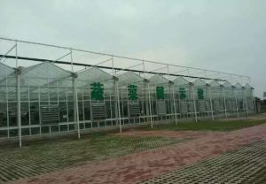 蔬菜種植基地標準實施棚