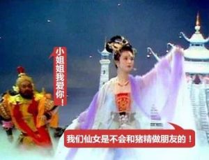 八戒系追星 八戒系追星