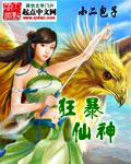 狂暴仙神 狂暴仙神