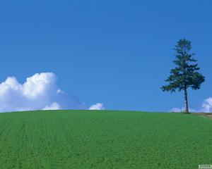 世界四大草原[地理區域]