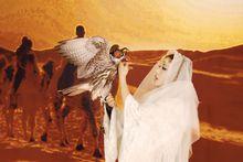 八毒公主2013寫真