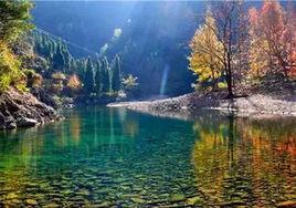 浙江仙居國家森林公園 浙江仙居國家森林公園