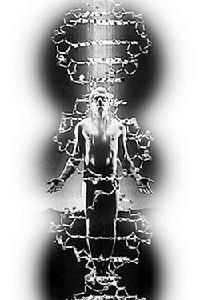 拍打健身法 拍打健身法