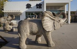 北京動物園大象館