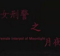 女刑警之月夜 女刑警之月夜