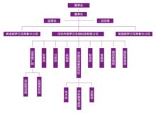 深圳市紫羅蘭生物科技有限公司