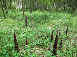 後塢生活度假村 後塢生活度假村