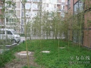 仁和翠苑 仁和翠苑