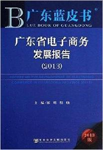 廣東省電子商務發展報告