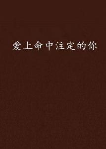 愛上命中注定的你 愛上命中注定的你