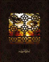 專輯《Harem》