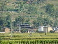 大竹蓬一自然村 大竹蓬一自然村