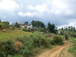 權頭自然村通村道路