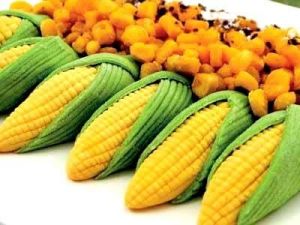 轉基因玉米產量高