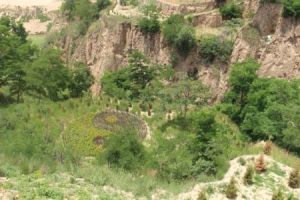 謝家溝村 謝家溝村