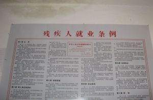 殘疾人就業條例釋義 殘疾人就業條例釋義