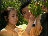 趙明明的作品《女人不是月亮》