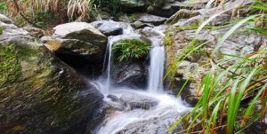 澤雅七瀑澗 澤雅七瀑澗