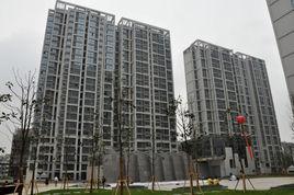 南環新村 南環新村