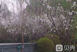 奧冠奧北公元 奧冠奧北公元