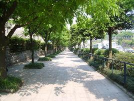 渝州路街道 渝州路街道