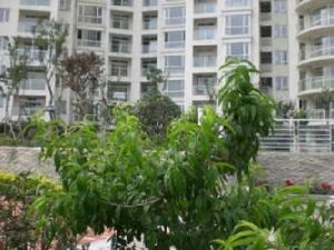 大榮世紀 大榮世紀