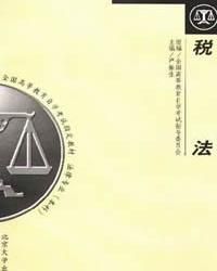 稅法適用原則 稅法適用原則