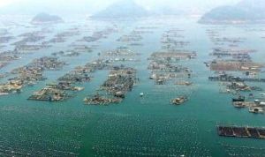 海上福建 海上福建