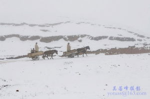大山包濕地忽遇春雪