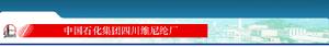 中國石化集團四川維尼綸廠
