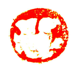 銅鼻鈕青鳥圖案印 銅鼻鈕青鳥圖案印