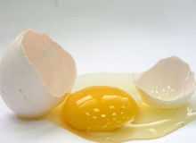 雞蛋清