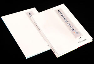 《王浩然書法作品集》 《王浩然書法作品集》