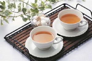 山西油茶 山西油茶