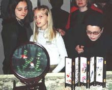 拉脫維亞國小生